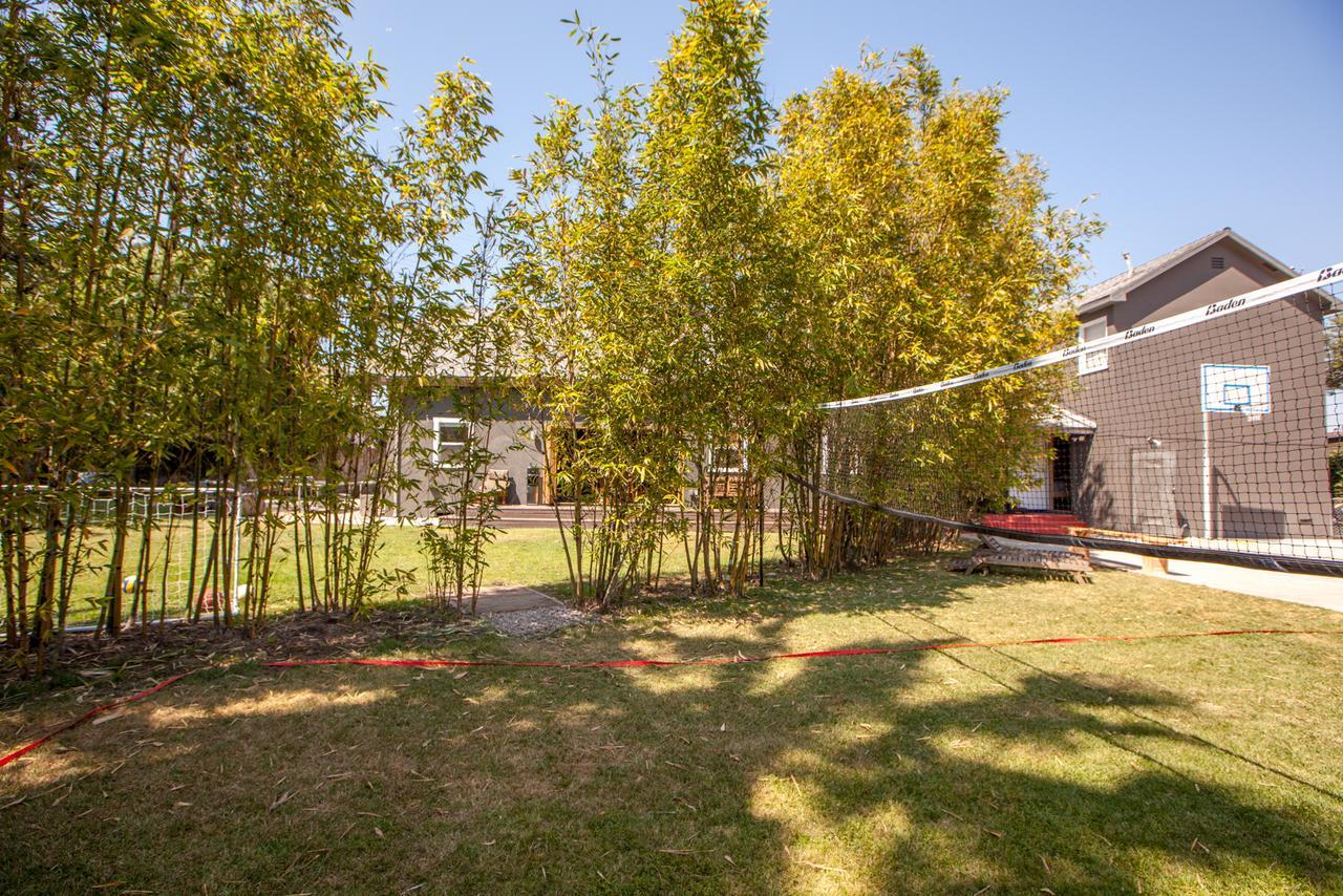 Podshare Venice - Los Angeles — Photos 2